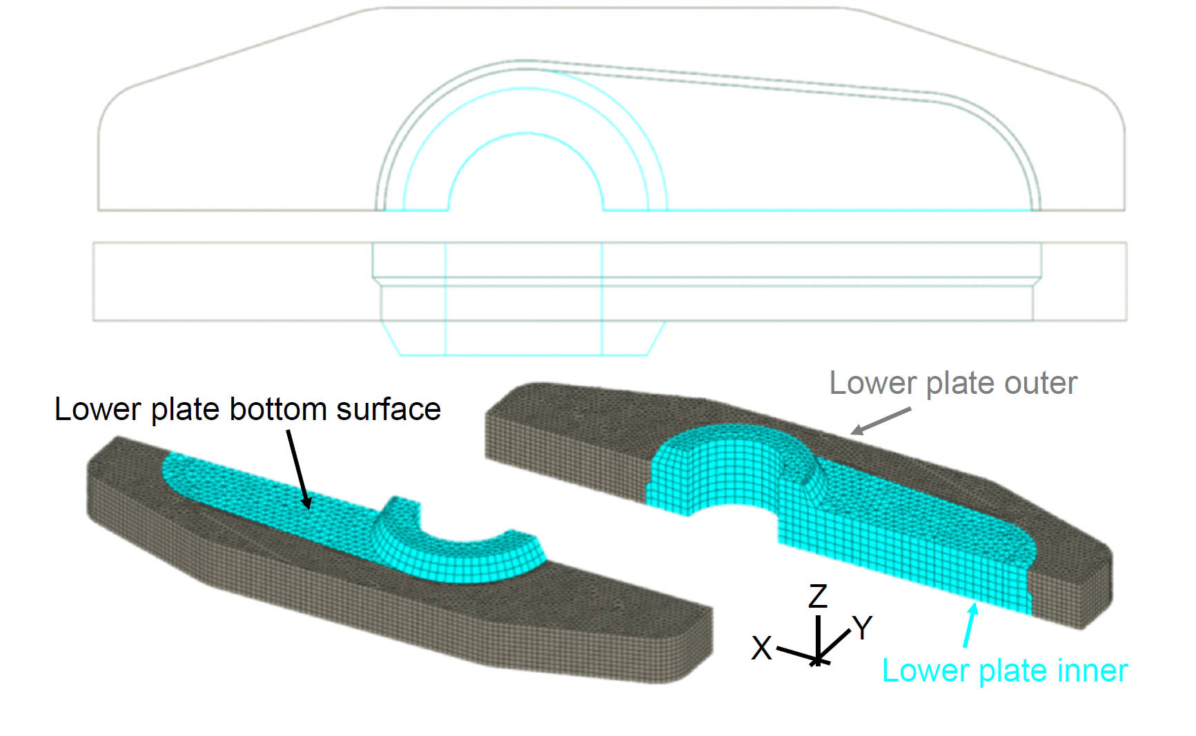 Reusable Lower Plate